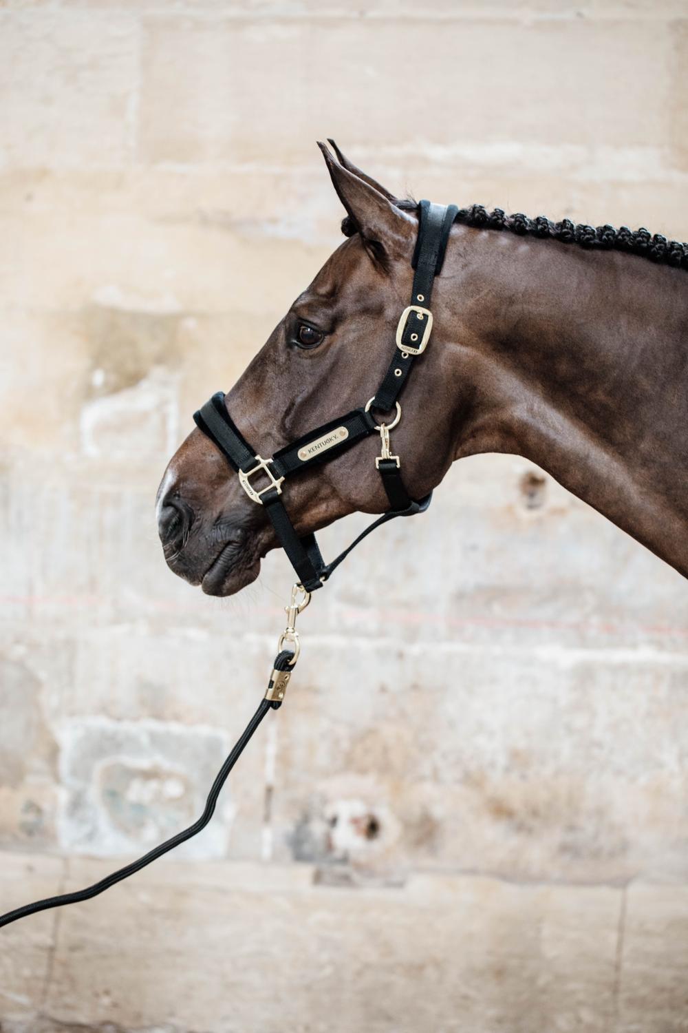 Velvet Halter | Kentucky Horsewear | VelvetDesign — Image 7