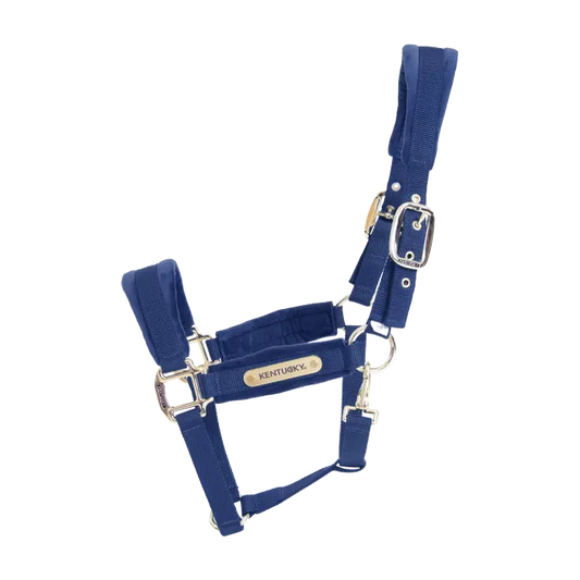 Boomerang Equestrian - Kentucky Velvet Halter Navy