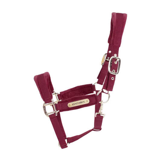 Boomerang Equestrian - Kentucky Velvet Halter Bordeaux