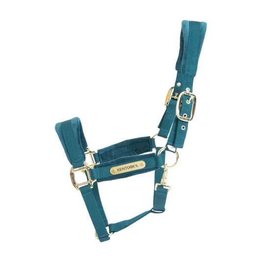 Boomerang Equestrian - Kentucky Velvet Halter Emerald