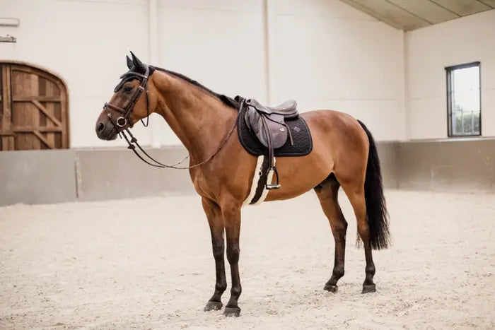 Kentucky Saddle Pad Glitter Rope Jumping Black