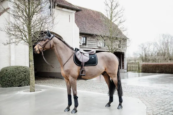 Kentucky Saddle Pad Basic Velvet Black