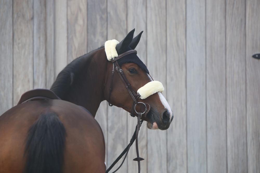 Fly veil | Kentucky Horsewear | Durable — Image 5