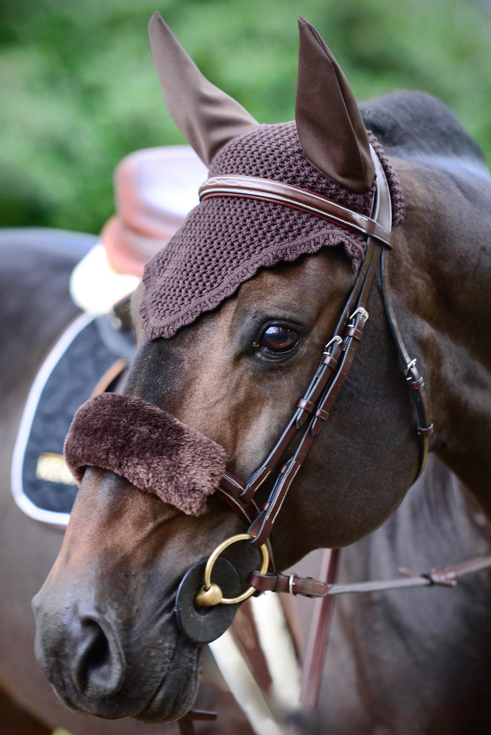 Fly veil | Kentucky Horsewear | Durable — Image 13