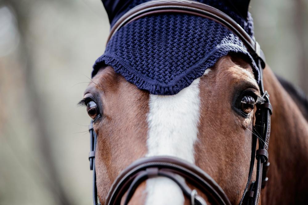 Fly veil | Kentucky Horsewear | Durable — Image 7