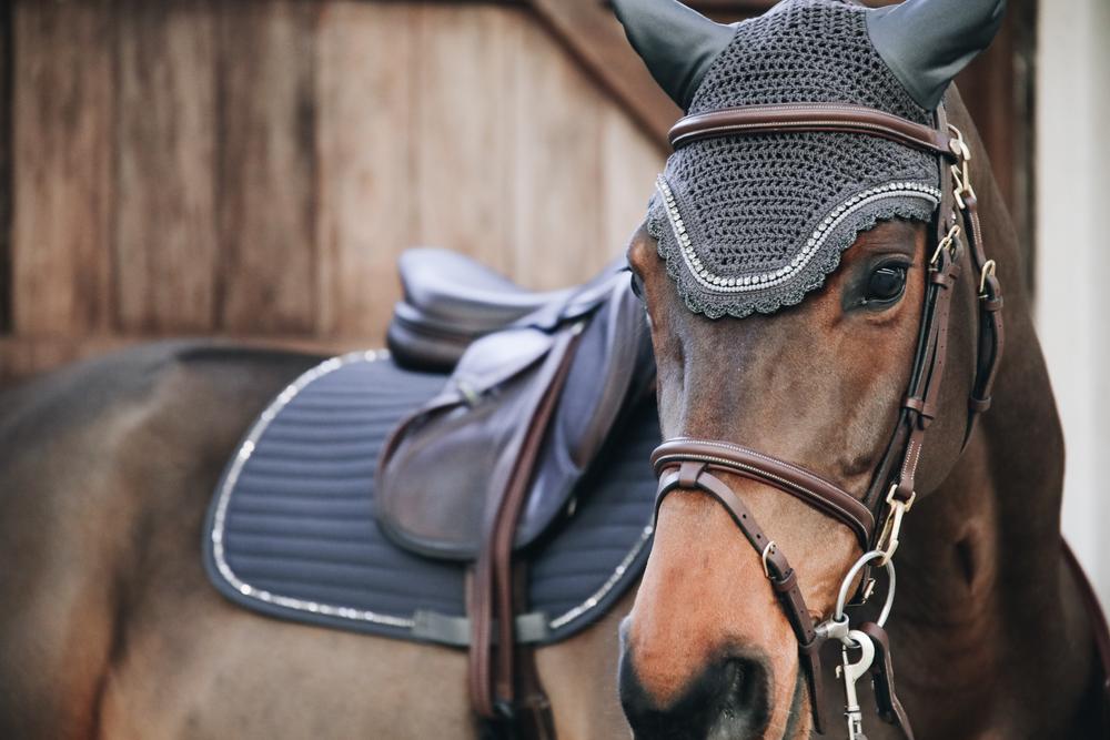 Fly Veil Wellington Stone & Pearl | Kentucky Horsewear | luxury — Image 10