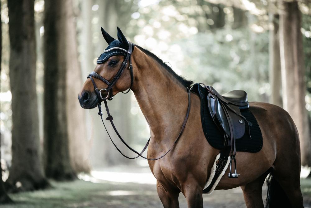 Fly Veil Wellington Stone & Pearl | Kentucky Horsewear | luxury — Image 14