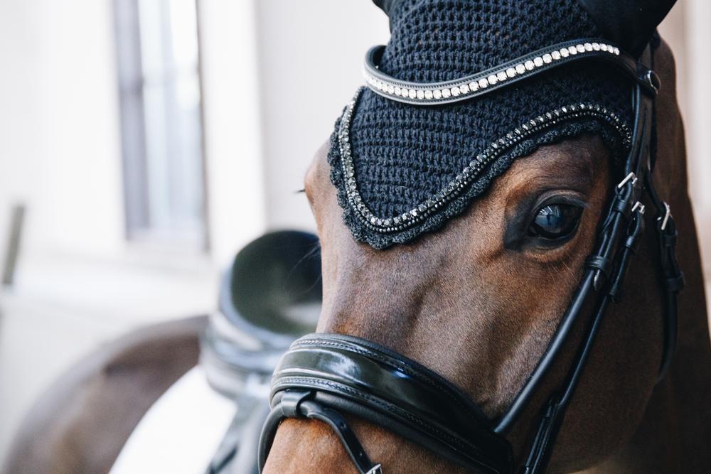 Fly Veil Long Stone & Pearl | Kentucky Horsewear | Durability — Image 13