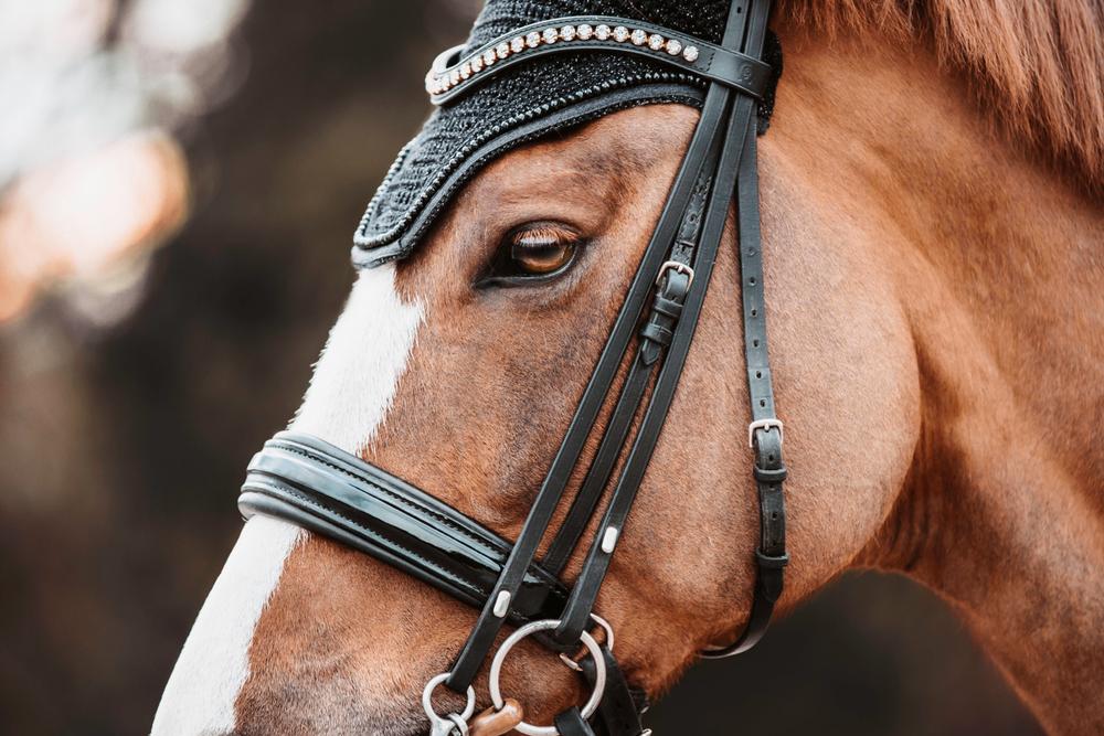 Fly Veil Wellington Glitter Band | Kentucky Horsewear | StylishDesign — Image 11