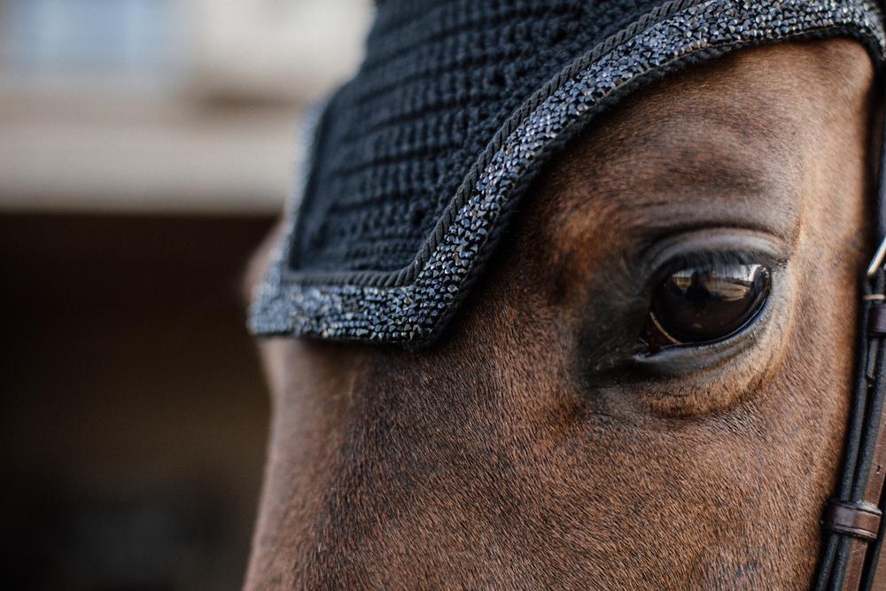 Fly Veil Wellington Glitter Stone | Kentucky Horsewear | glittery — Image 9