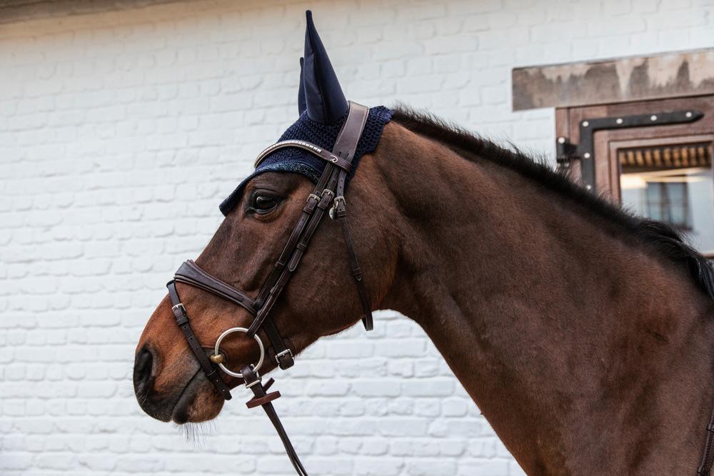 Fly Veil Wellington Glitter Stone | Kentucky Horsewear | glittery — Image 12