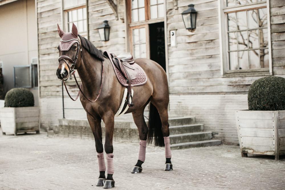 Fly Veil Wellington Velvet | Kentucky Horsewear | Colourful — Image 10