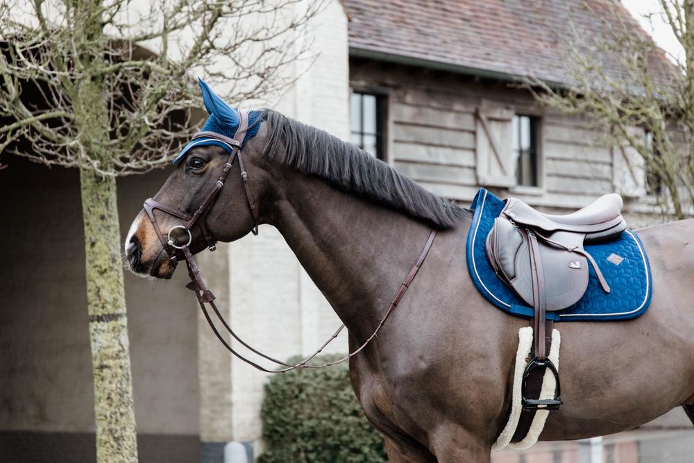 Fly Veil Wellington Basic Velvet | Kentucky Horsewear | Colourful — Image 5