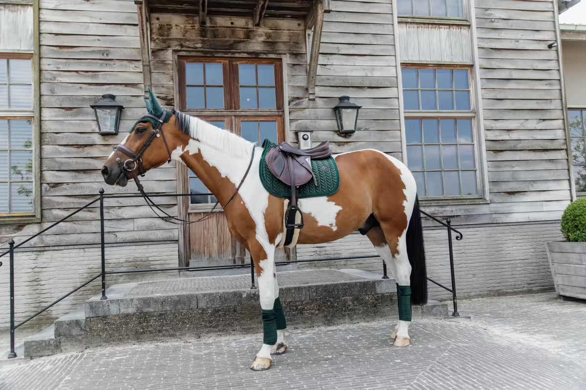 Kentucky Fly Veil Wellington Velvet Pearls Pine Green