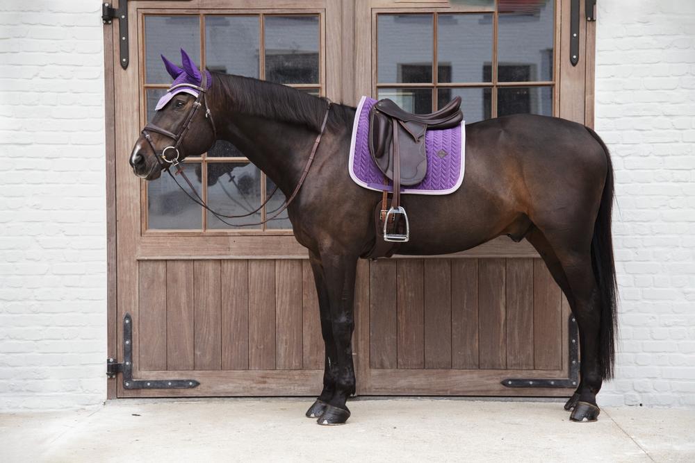 Fly Veil Wellington Velvet Contrast | Kentucky Horsewear | luxuriousvelvet — Image 2