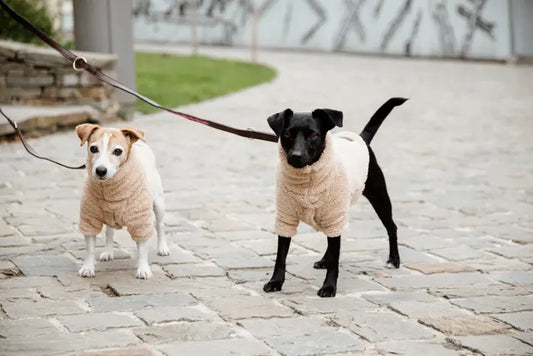 Boomerang Equestrian - Kentucky Dog Sweater Teddy Fleece Beige