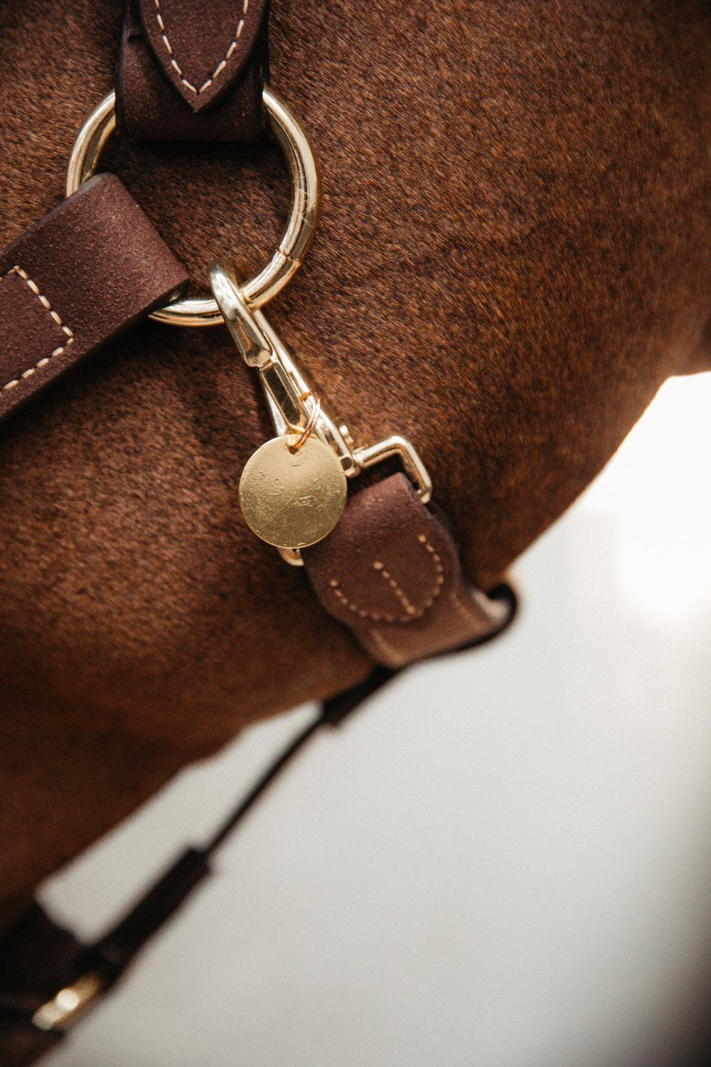 Name Plate | Kentucky Horsewear | Personalisation — Image 2