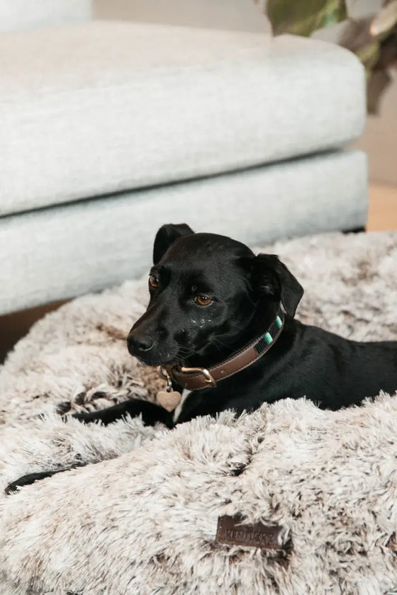 Kentucky Dog Bed Comfort Donut Brown