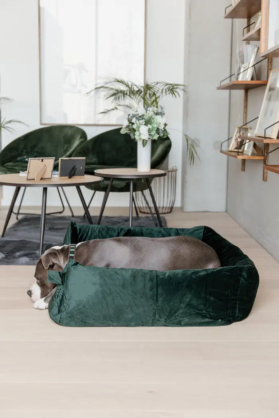 Kentucky Dog Bed Velvet Pine Green