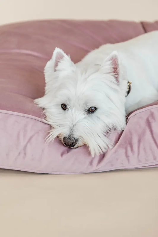 Boomerang Equestrian - Kentucky Dog Bed Pillow Velvet Old Rose