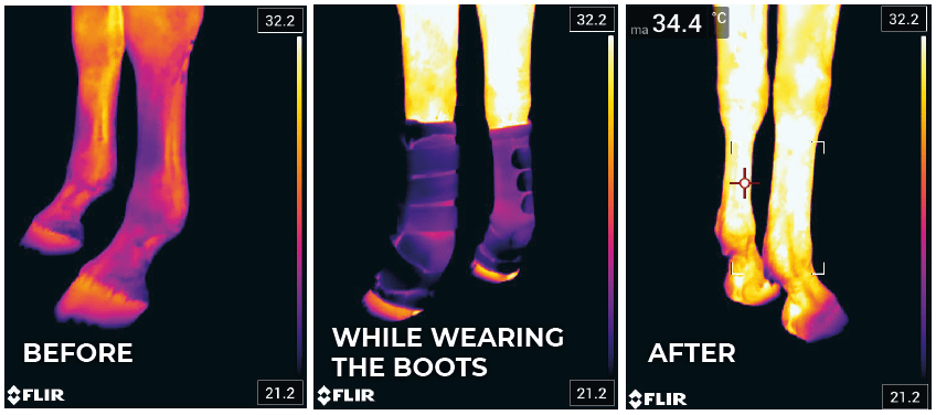 Magnetic Stable Boots Recuptex | Kentucky Horsewear | Recovery — Image 5