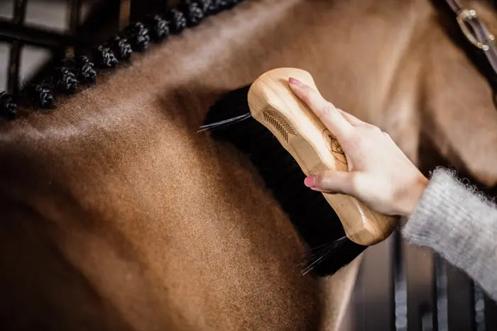Boomerang Equestrian - Kentucky Grooming Deluxe Body Brush Middle Hard