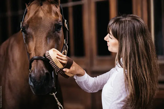 Boomerang Equestrian - Kentucky Grooming Deluxe Overall Brush Soft