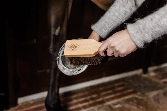 Kentucky Grooming Deluxe Hoof Brush