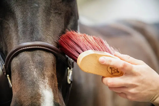 Boomerang Equestrian - Kentucky Grooming Deluxe Middle Brush Long Brown