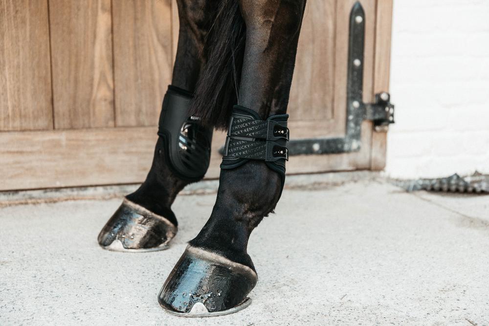 Fetlock Boots Elastic | Kentucky Horsewear | Durable — Image 10