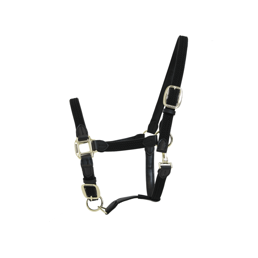 Plaited Nylon Halter | Kentucky Horsewear | Durable — Image 4