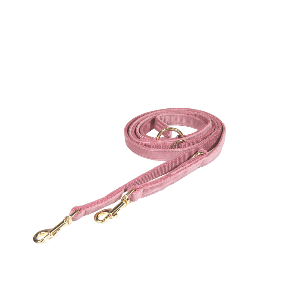 Dog Leash Velvet 200 cm | Kentucky Dogwear | Stylish — Image 17
