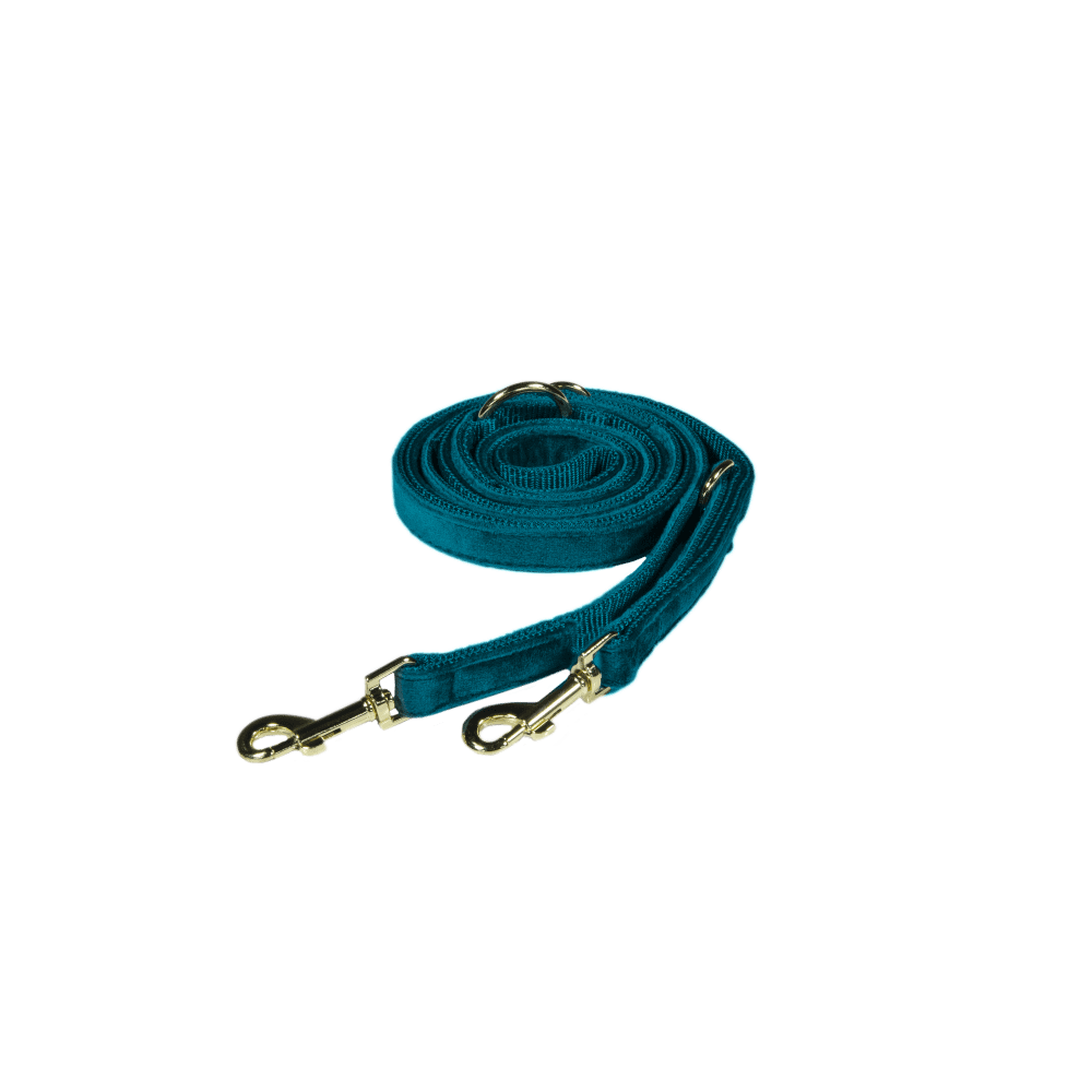 Dog Leash Velvet 200 cm | Kentucky Dogwear | Stylish — Image 14