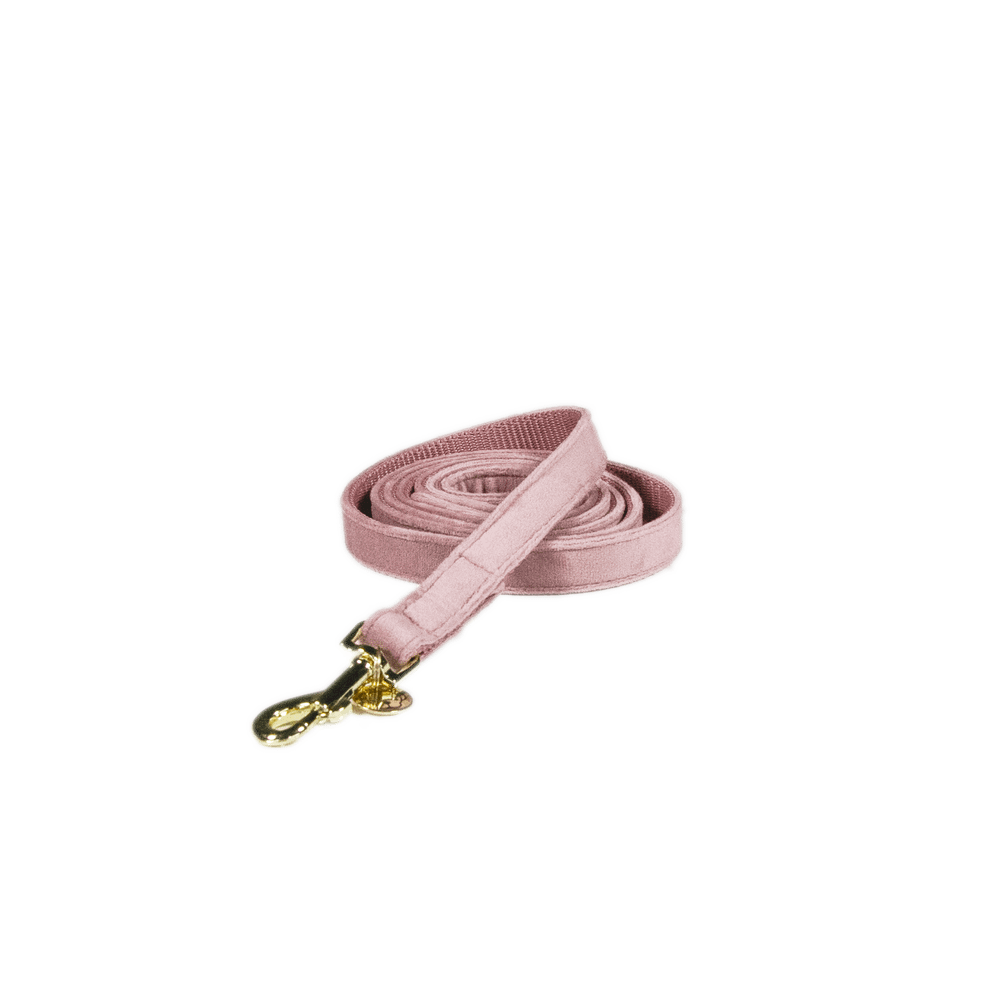 Dog Leash Velvet 120 cm | Kentucky Dogwear | luxurious
