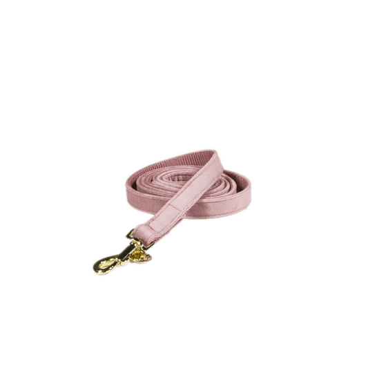 Dog Leash Velvet 120 cm | Kentucky Dogwear | luxurious