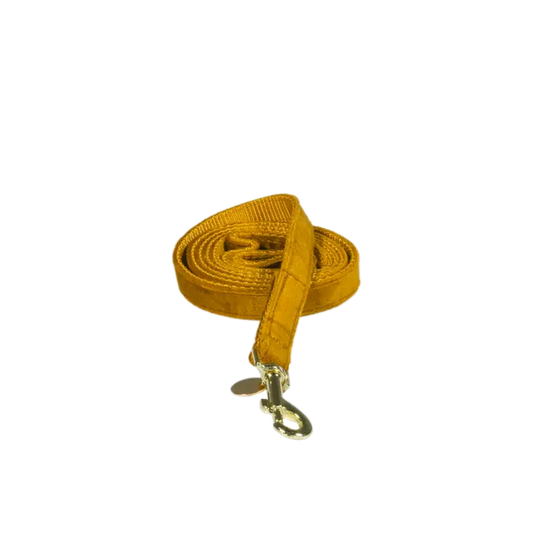 Boomerang Equestrian - Kentucky Dog Lead Velvet Mustard