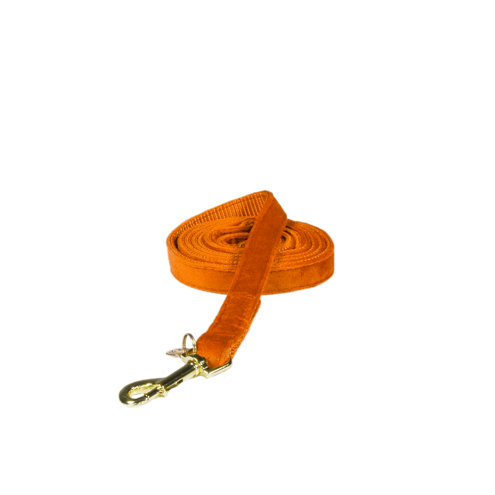 Dog Leash Velvet 120 cm | Kentucky Dogwear | luxurious — Image 9