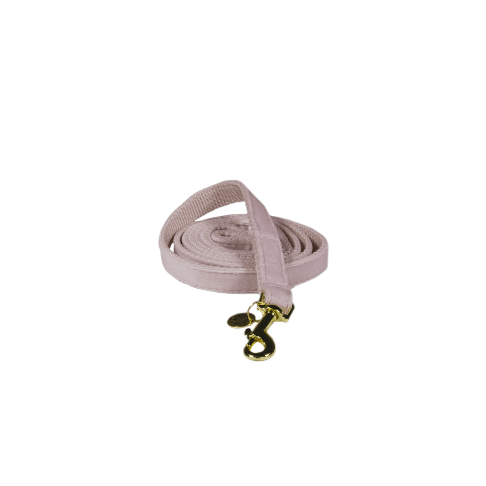 Dog Leash Velvet 120 cm | Kentucky Dogwear | luxurious — Image 10