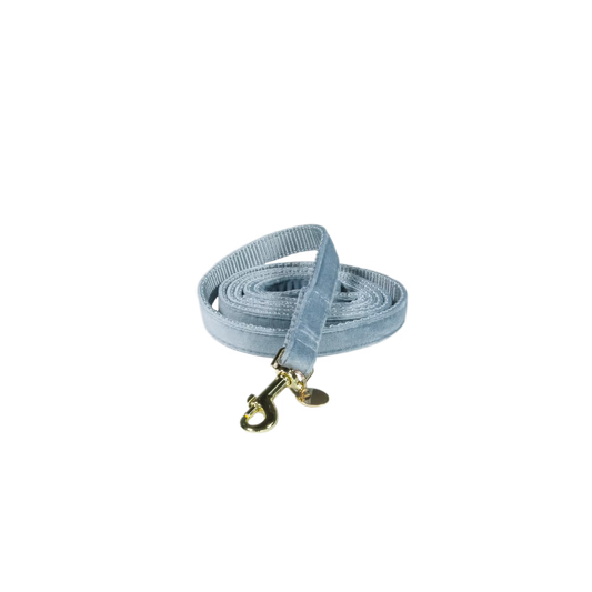 Kentucky Dog Lead Velvet Light Blue Size S 120cm