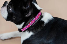  Kentucky Dog Collar Handmade Pearls Pink