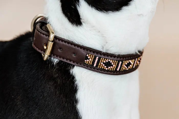 Kentucky Dog Collar Handmade Pearls Gold