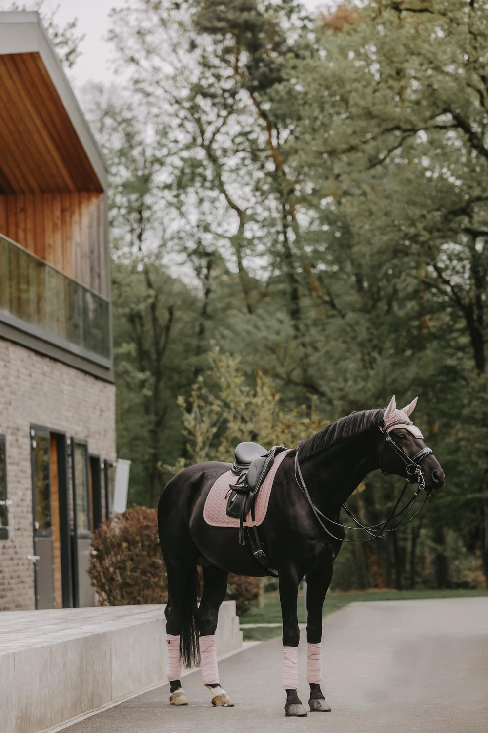 Fly Veil Wellington Velvet Pearls | Kentucky Horsewear | luxurious — Image 16