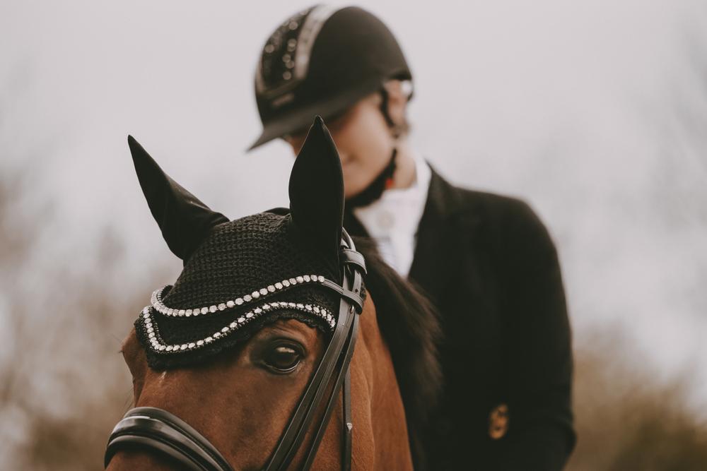 Fly Veil Wellington Big Stone & Pearl | Kentucky Horsewear | Stylish — Image 9