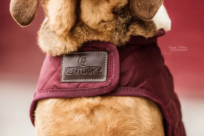 Kentucky Dog Coat Original Bordeaux