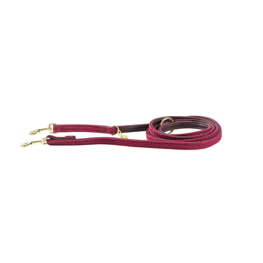 Plaited Nylon Dog Leash 200 cm | Kentucky Dogwear | Stylish — Image 17