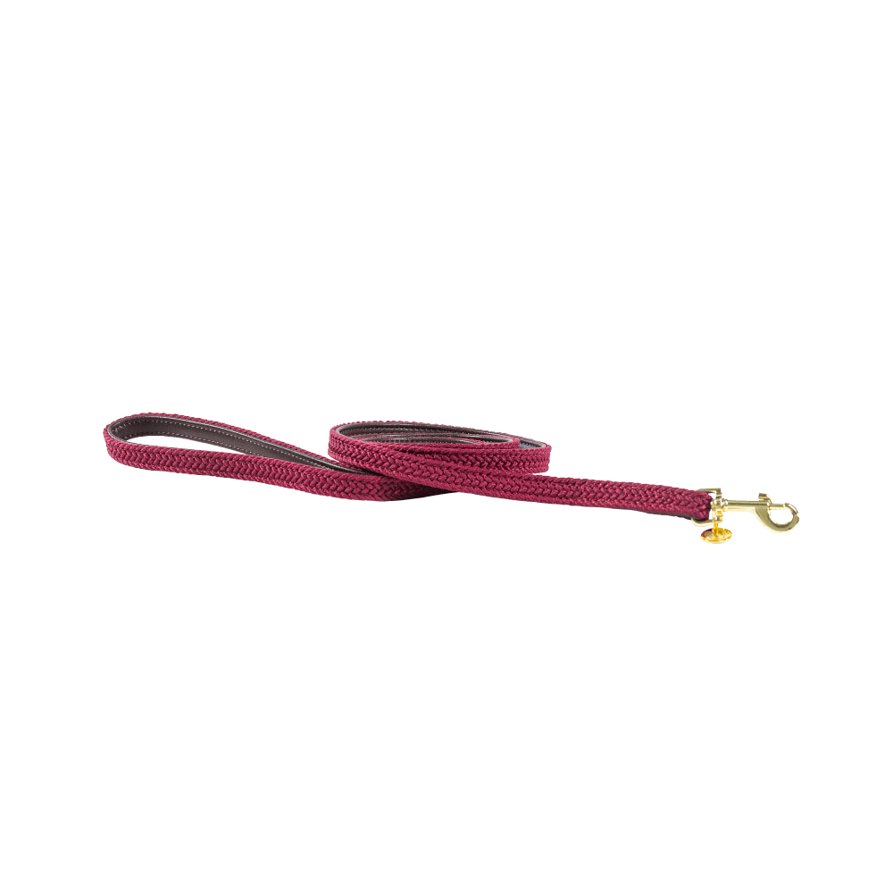Plaited Nylon Dog Leash 120cm | Kentucky Dogwear | Stylish