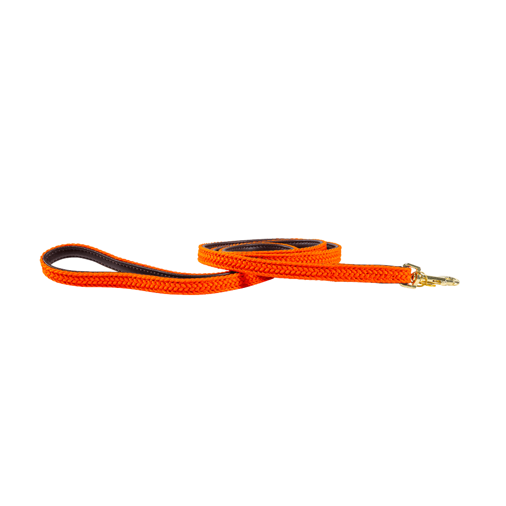 Plaited Nylon Dog Leash 120cm | Kentucky Dogwear | Stylish — Image 15