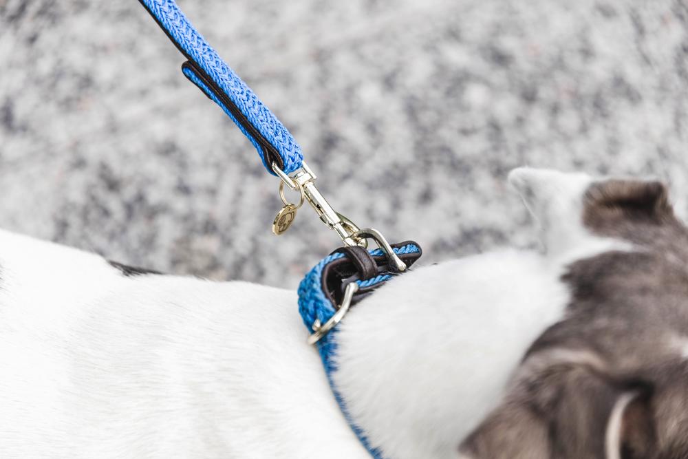Plaited Nylon Dog Leash 120cm | Kentucky Dogwear | Stylish — Image 19