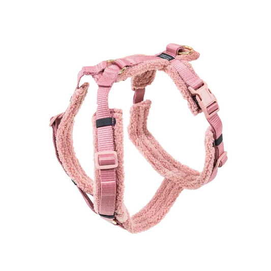 Boomerang Equestrian - Kentucky Dog Harness Active Teddy Fleece Old Rose