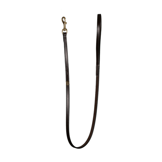 Dy'on Classic Dog Leash
